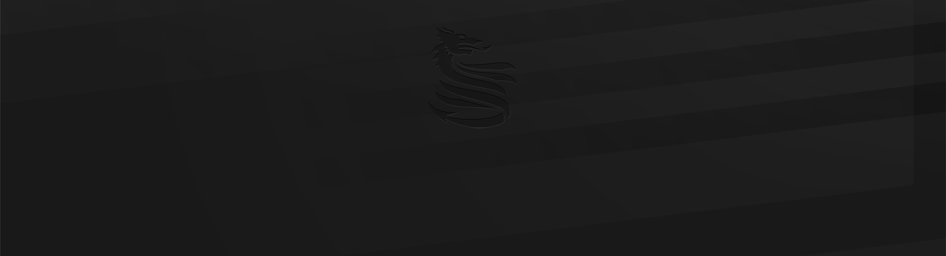 Para Sport Festival logo