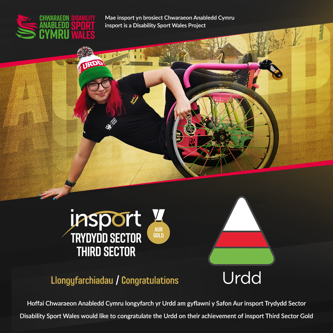 Congratulations to the Urdd on achieving insport Third Sector Gold Standard
