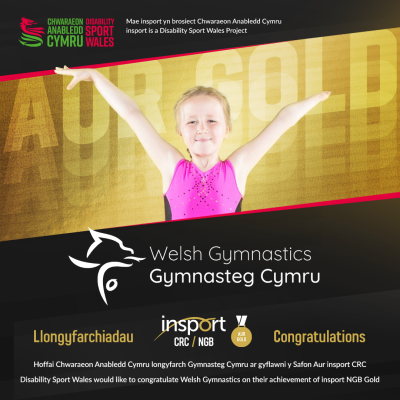 Congratulations to Welsh Gymnastics on achieving insport NGB Gold Standard